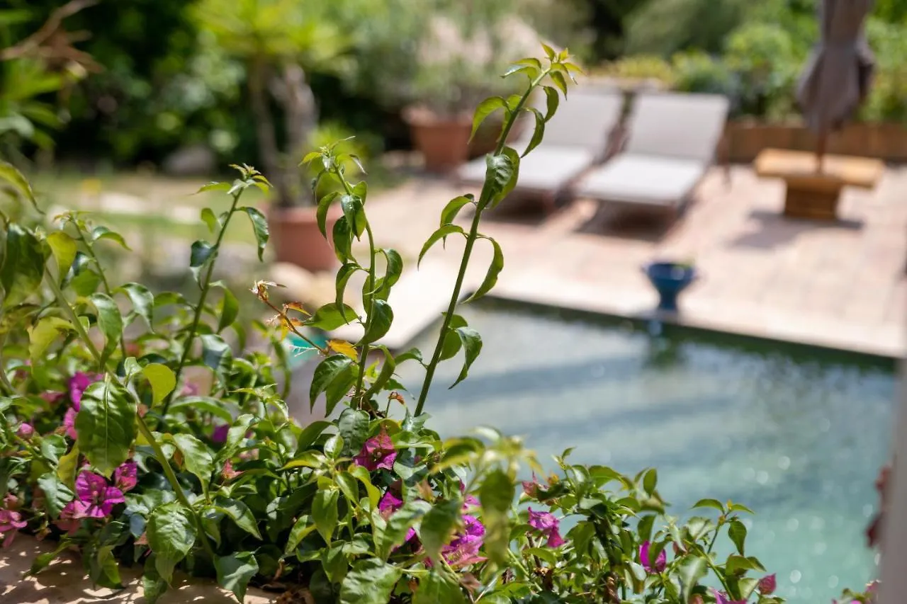 Le Mazet De Tourrettes Bed & Breakfast Tourrettes-sur-Loup